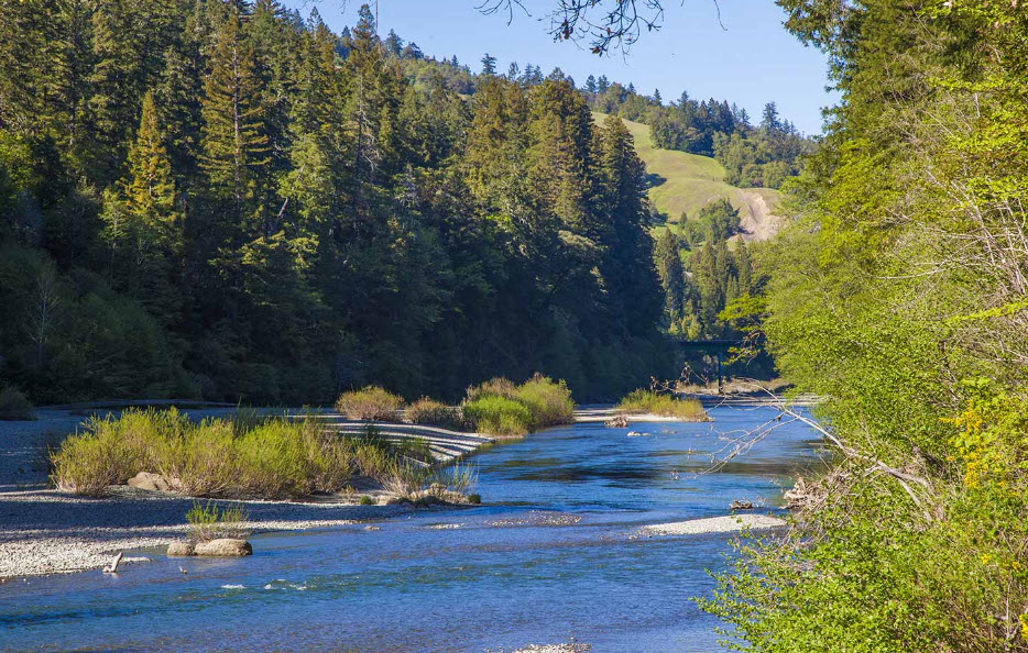 John B. Dewitt Redwoods State Natural Reserve, California, USA
